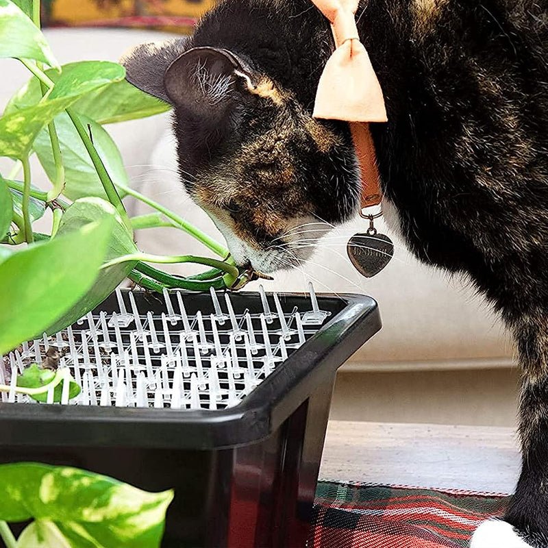 Kattskrämmande taggig matta - sparklar.se