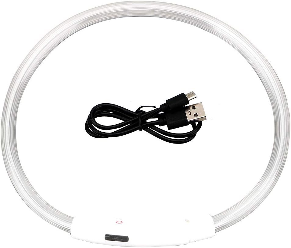 Lysande hundhalsband - sparklar.se