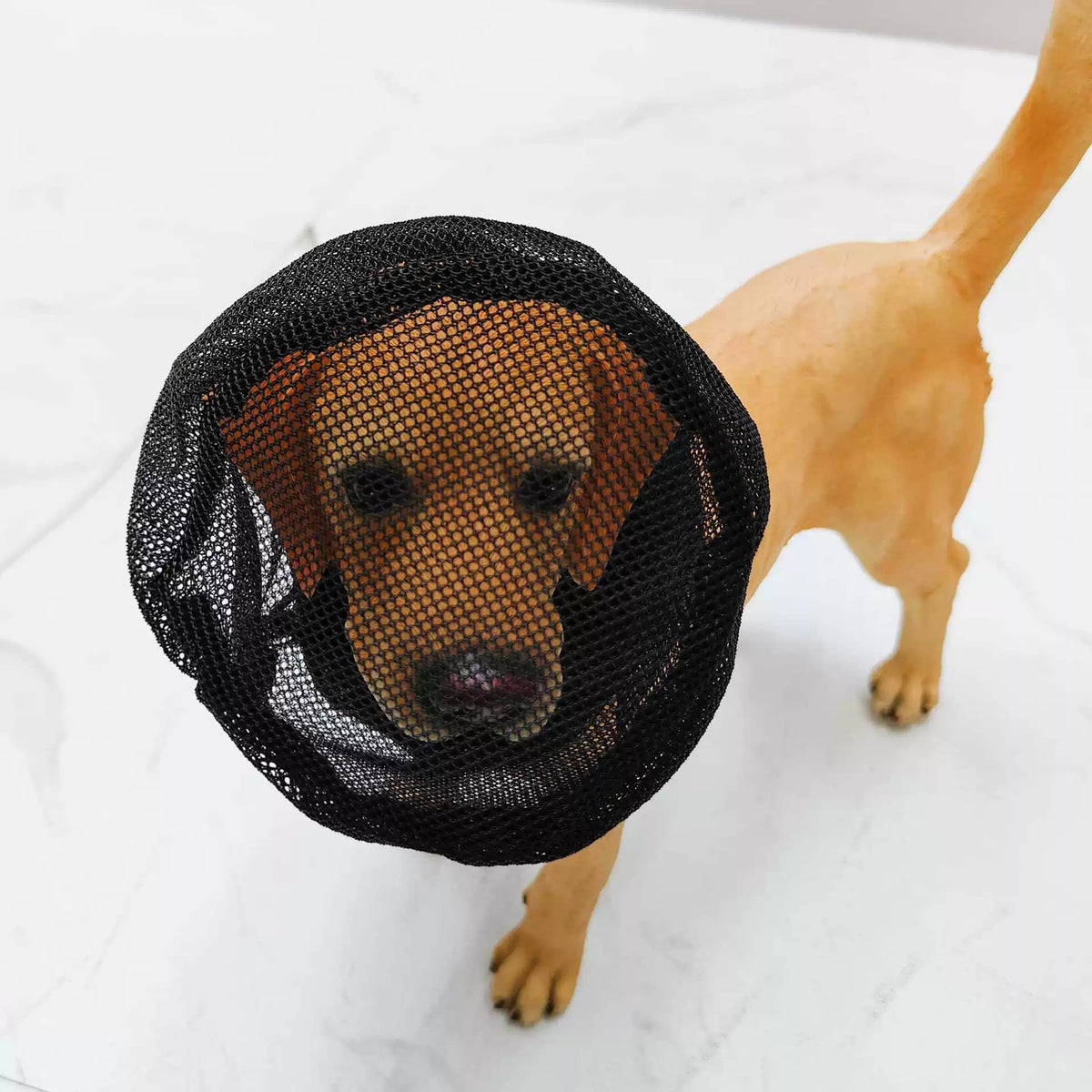Hundmask i mesh