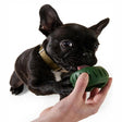 Godisboll med slow feeder-funktion