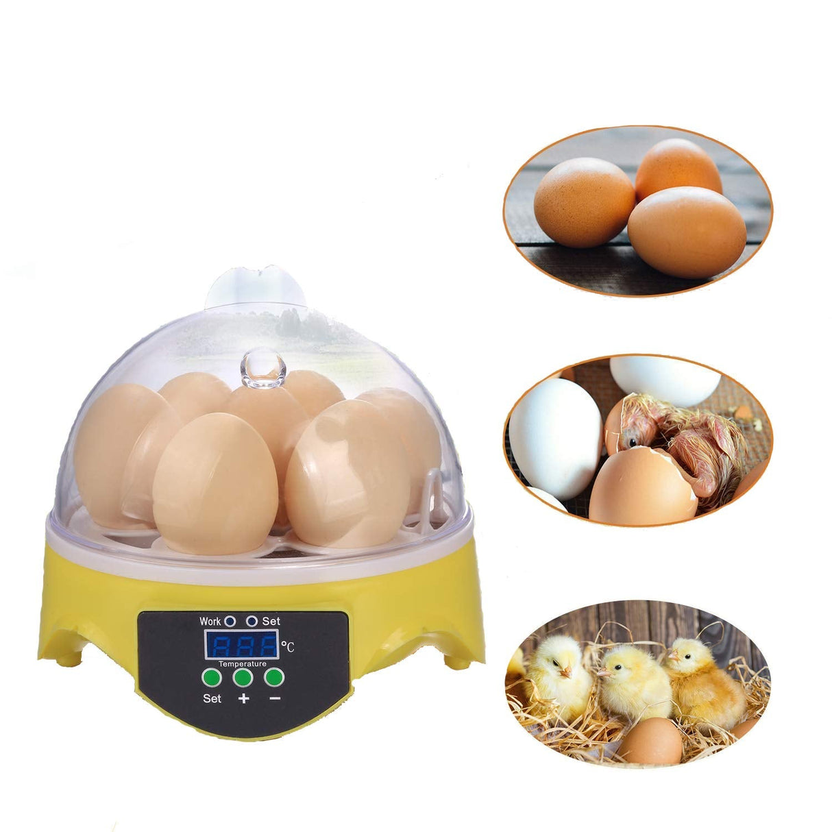 Äggkläckningsmaskin - Sparklar